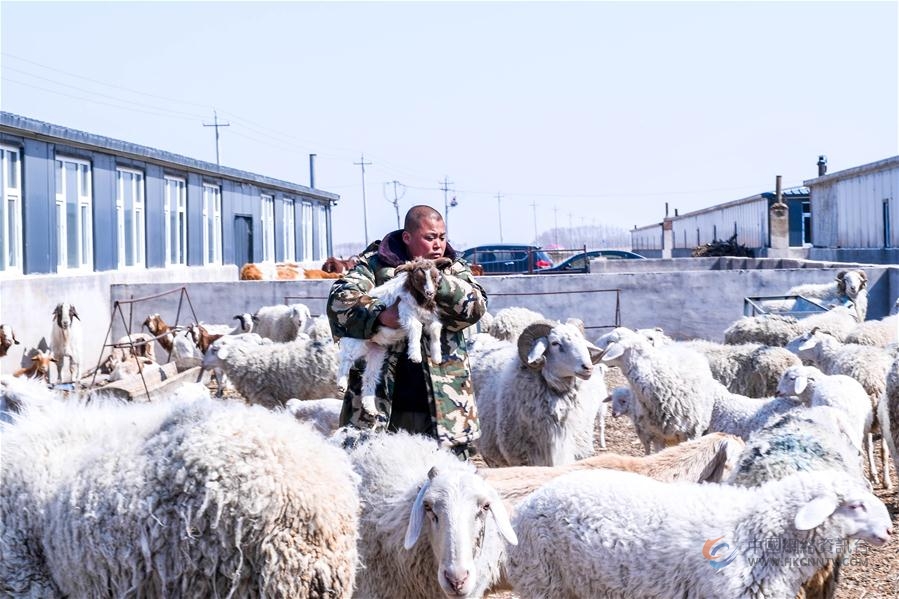（脱贫攻坚）（1）吉林通榆：易地搬迁让村民“住得好、能致富”