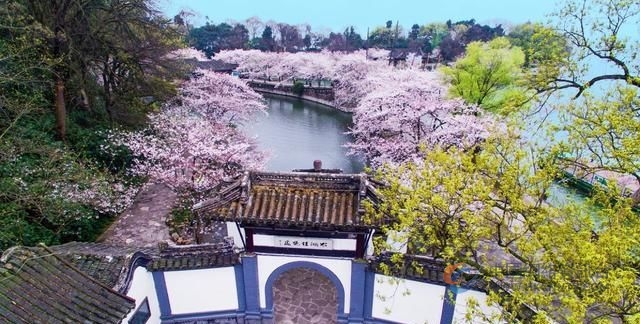人均GDP全国第二,却连续两年落选新一线城市,无锡究竟差在哪?