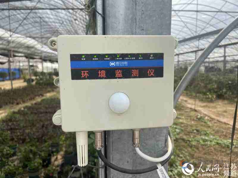目前，堰下村50亩以上规模的花木基地都安装了传感监测设备。胡道兵摄