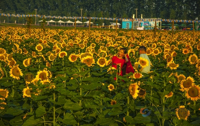 云上游,奇妙老山话题热。浦口区文旅局供图