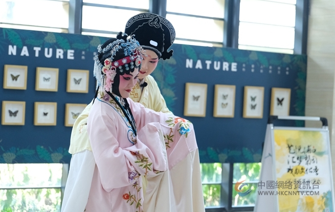  城市游，人文熏陶底蕴浓。浦口区文旅局供图