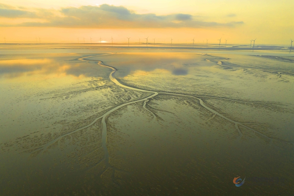 条子泥湿地滩涂上，水流过的痕迹形成了千姿百态的“沙画”。单中华摄