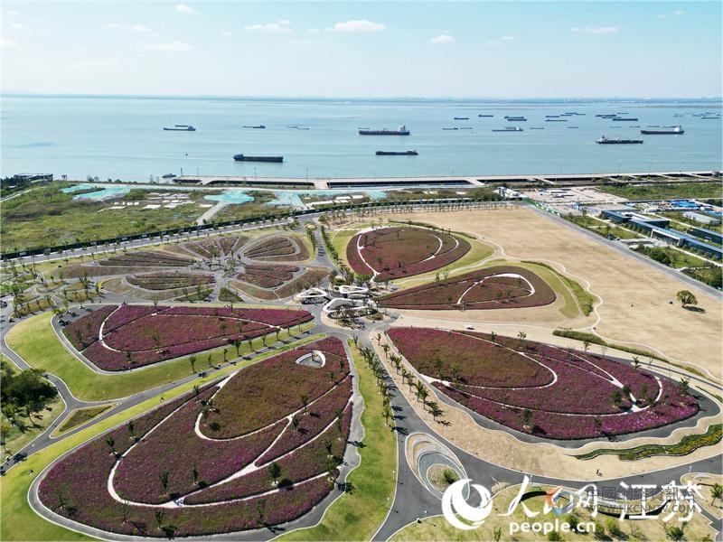 五山地区滨江花海成了附近居民的“后花园”。人民网记者王继亮摄