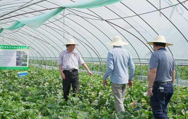 沈其荣院士（左一）为浦口瓜农现场传艺。浦口区委宣传部供图