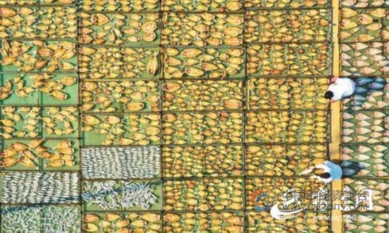 ImageFetcher (14)