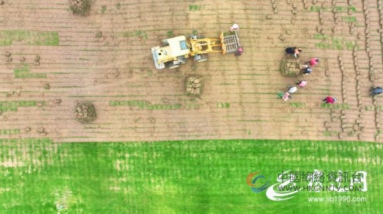 DJI_0571(2690811)-20230326090829