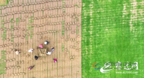DJI_0568(2690810)-20230326090814