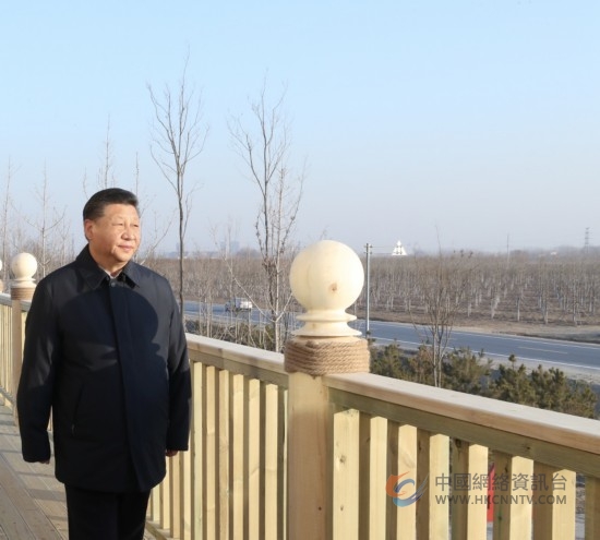 2019年1月16日，在雄安新区“千年秀林”大清河片林一区造林区域，习近平总书记登上秀林驿站二层平台远眺林区全貌。新华社记者 鞠鹏 摄
