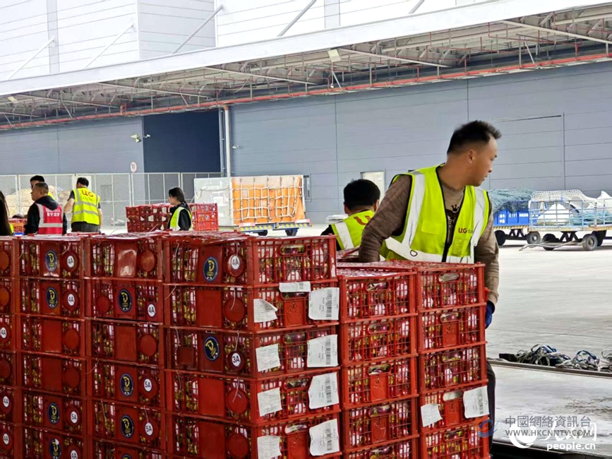 郑州机场北货运区货物运输一片繁忙。人民网记者 杨晓娜摄