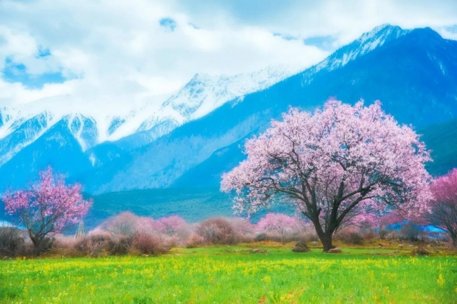 迎一场春暖花开