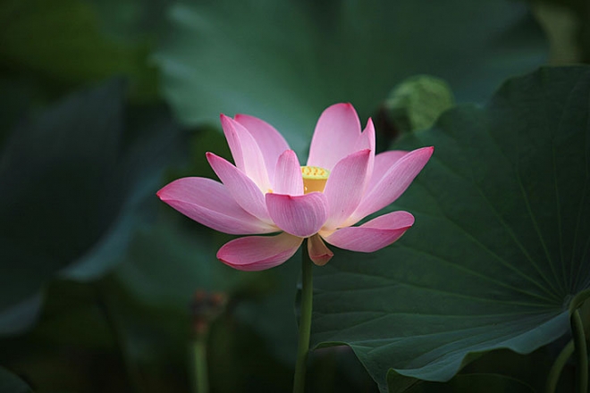 愿青春不老，时光不散