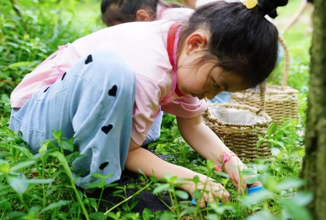 苏州市植物园即将举办自然美育夏令营活动