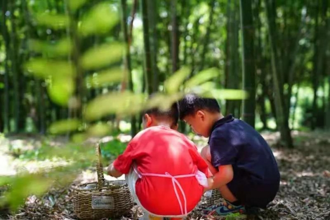 苏州市植物园即将举办自然美育夏令营活动