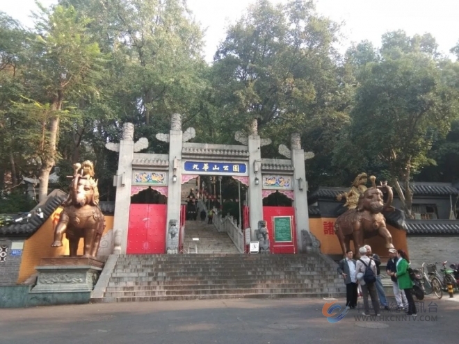 巡 山 巡 山