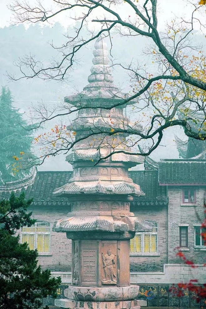 巡 山