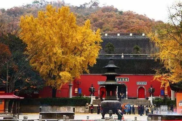 巡 山 巡 山