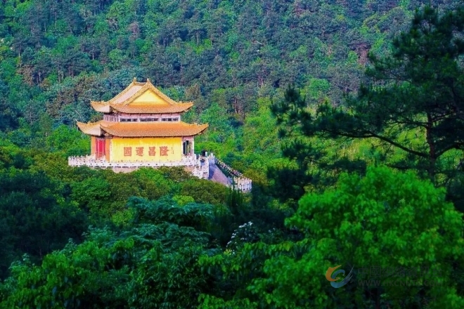 巡 山 巡 山