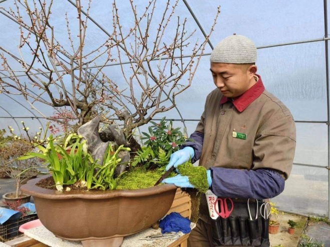 苏州市植物园园艺师在首届全国园林绿化职业技能竞赛中斩获佳绩