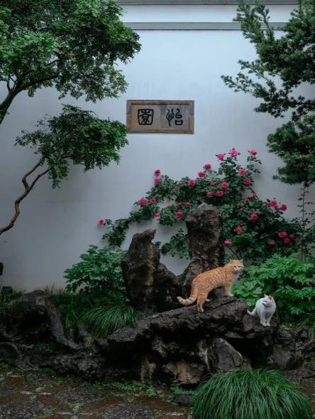 助力传播江南文化，苏州轨道交通推出《乘着地铁去读诗》有声栏目