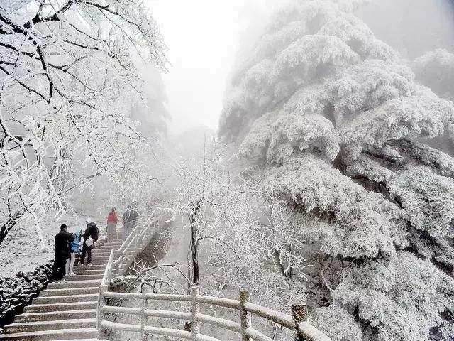 心怀阳光  处处芬芳