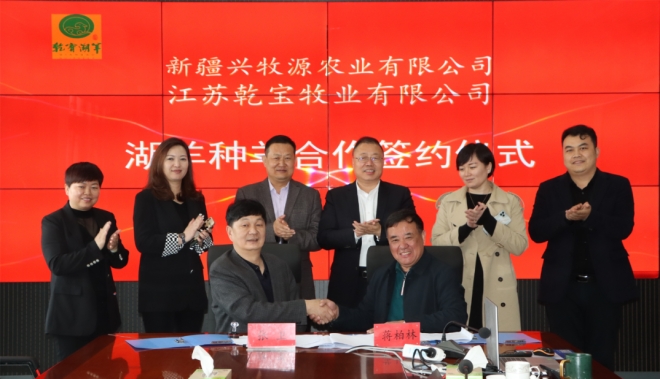 江苏乾宝牧业联合新疆企业助推西部乡村振兴与共同富裕