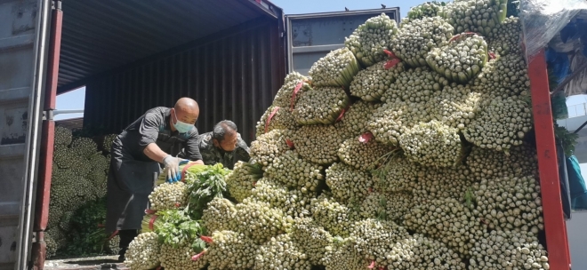 防疫保供两手抓，苏州南环桥市场全力托稳百姓的“菜篮子”