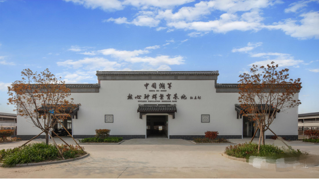 科技引领，创新发展！江苏乾宝牧业着力打造湖羊种业“硅谷”