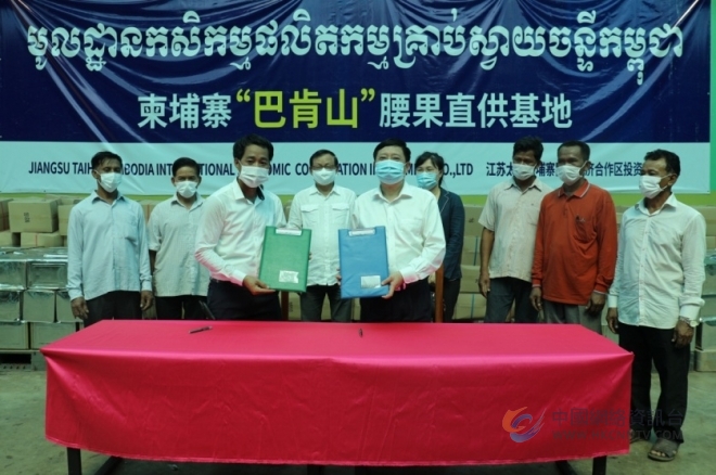 以西港特区为媒，“丝路电商”打通柬埔寨腰果原产地直供通道