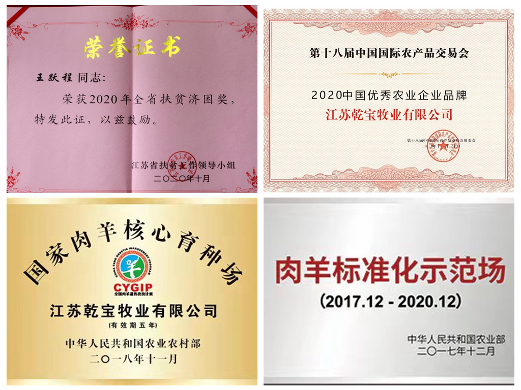 喜报！江苏乾宝牧业荣登农业农村部办公厅关于扶持国家种业阵型企业发展名单