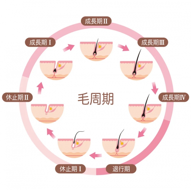 秋天大把掉头发，不要慌！苏州九龙医院告诉你掉头发的真相