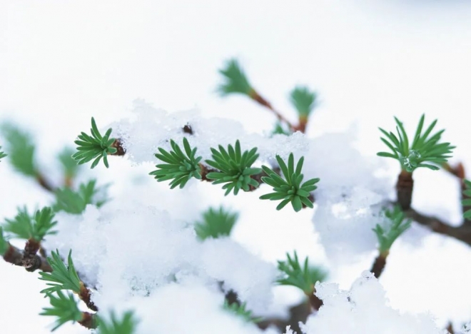 仲冬时节，心存温暖