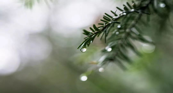 等风，等雨，遇见有缘的你