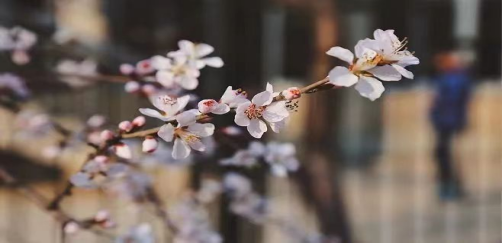 你好，三月