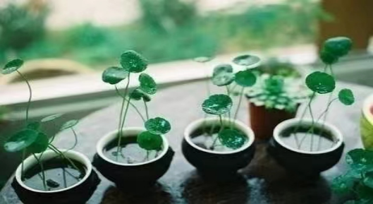 江南烟雨，在雨里等你