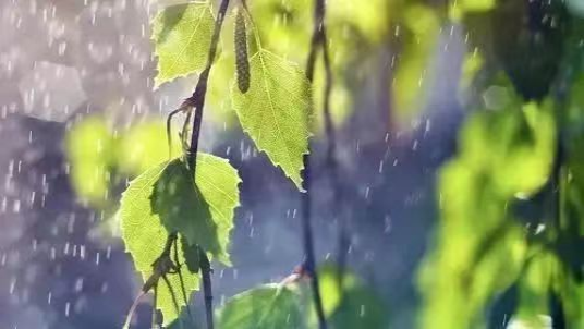 江南烟雨，在雨里等你