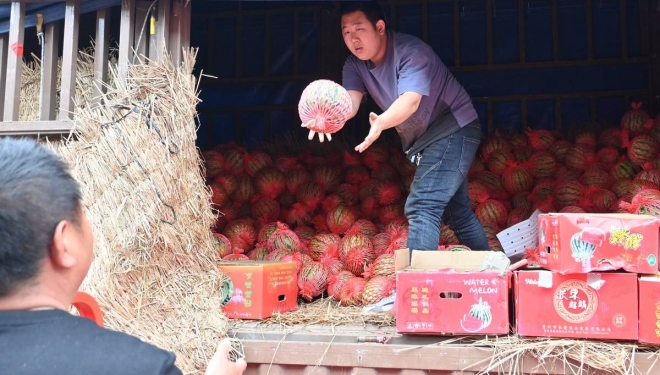 苏州南环桥市场西瓜开始批量上市，实现“吃瓜自由”仍需等待
