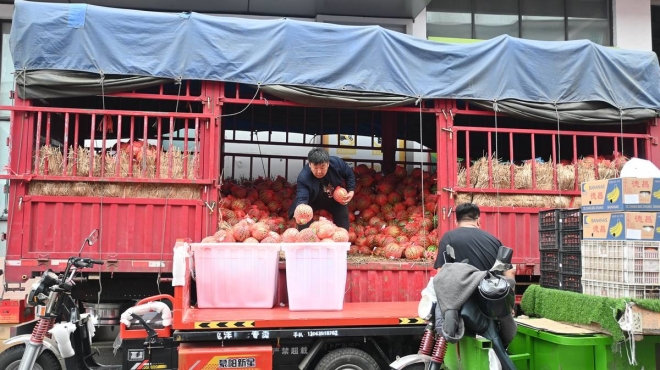 苏州南环桥市场西瓜开始批量上市，实现“吃瓜自由”仍需等待