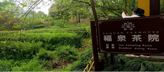 灵隐寺之旅行