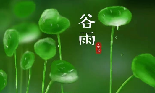 谷雨：且惜时光，且种希望