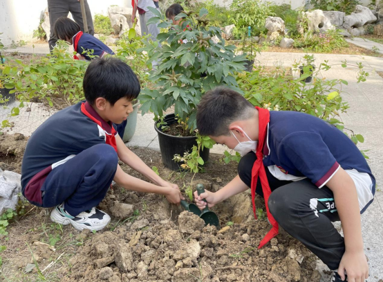 苏州市中医医院“悠悠百草情，岐黄校园行”活动走进沧浪实小