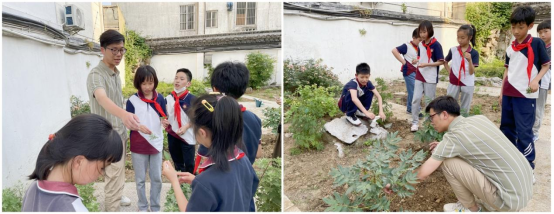 苏州市中医医院“悠悠百草情，岐黄校园行”活动走进沧浪实小