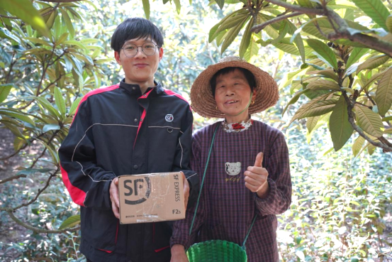 服务到家，不止于快！顺丰持续刷新拳头产品拥抱618年中高峰