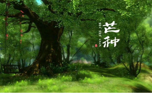 芒有所获，忙有所得