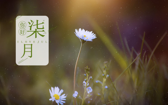 六月再见，七月你好