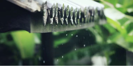 六月再见，七月你好