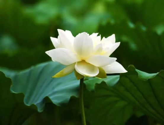 送给梅雨季节