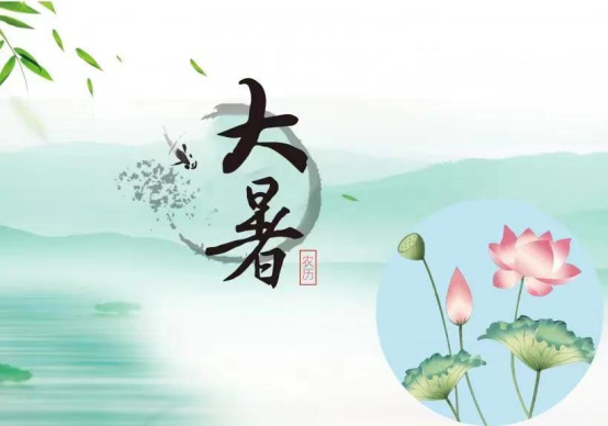大暑荷花香，盛夏心且静
