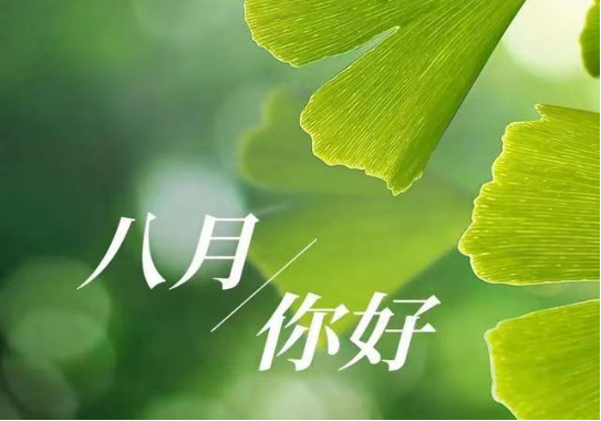 你好，八月