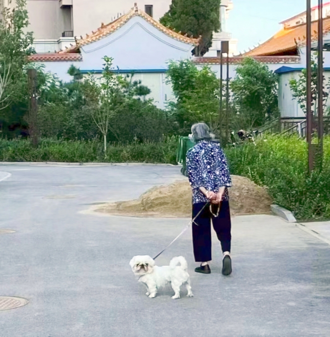 不离不弃