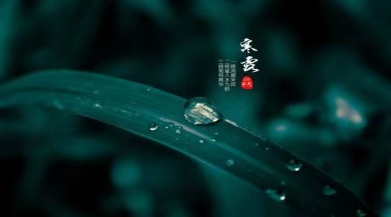 寒露已至，秋意更浓